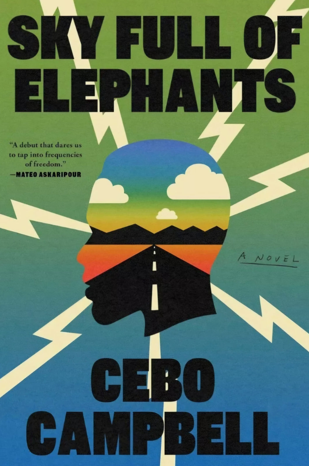 Sky Full of Elephants